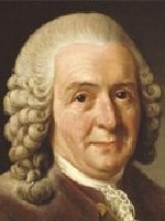 Carl Linnaeus kimdir